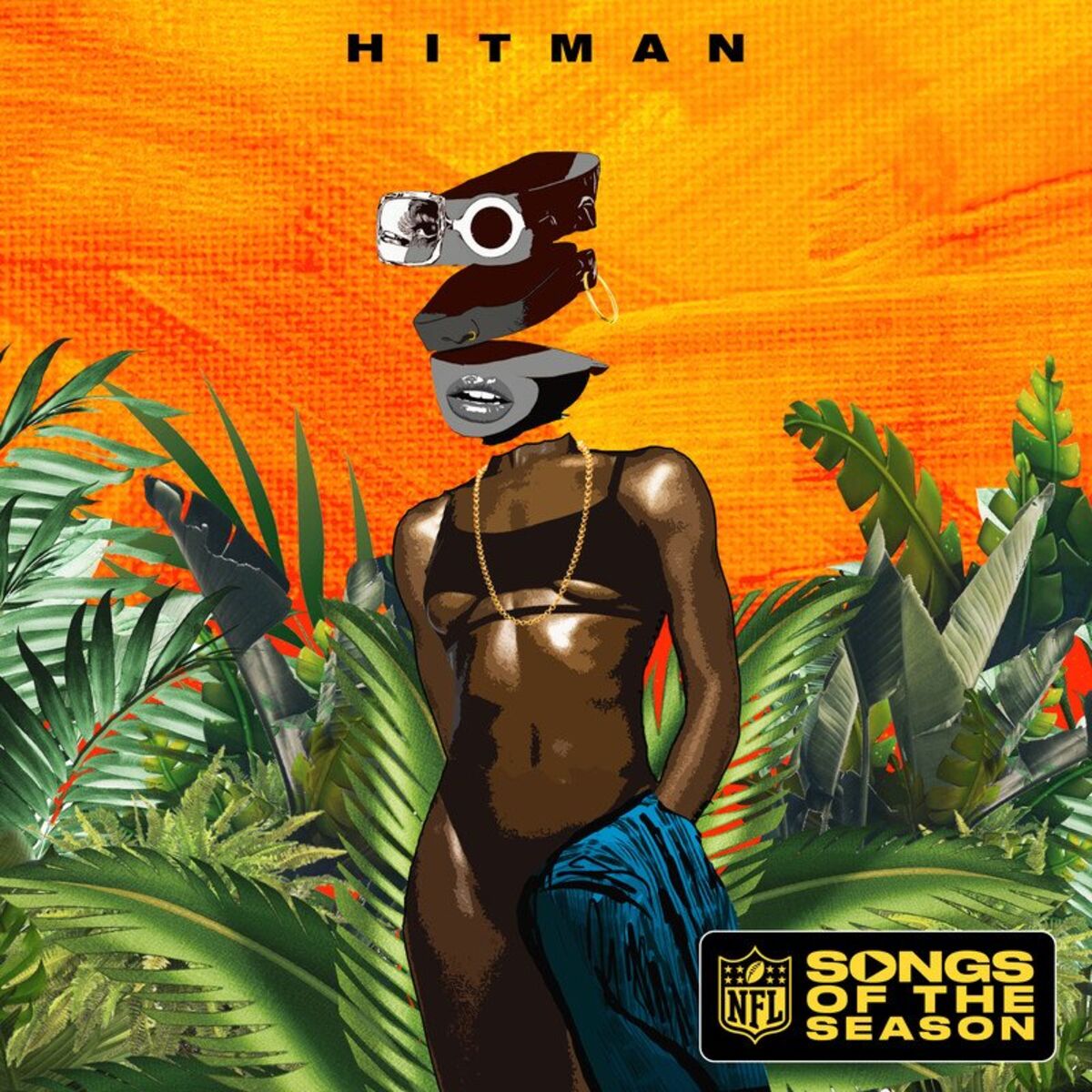 Album cover of Hitman