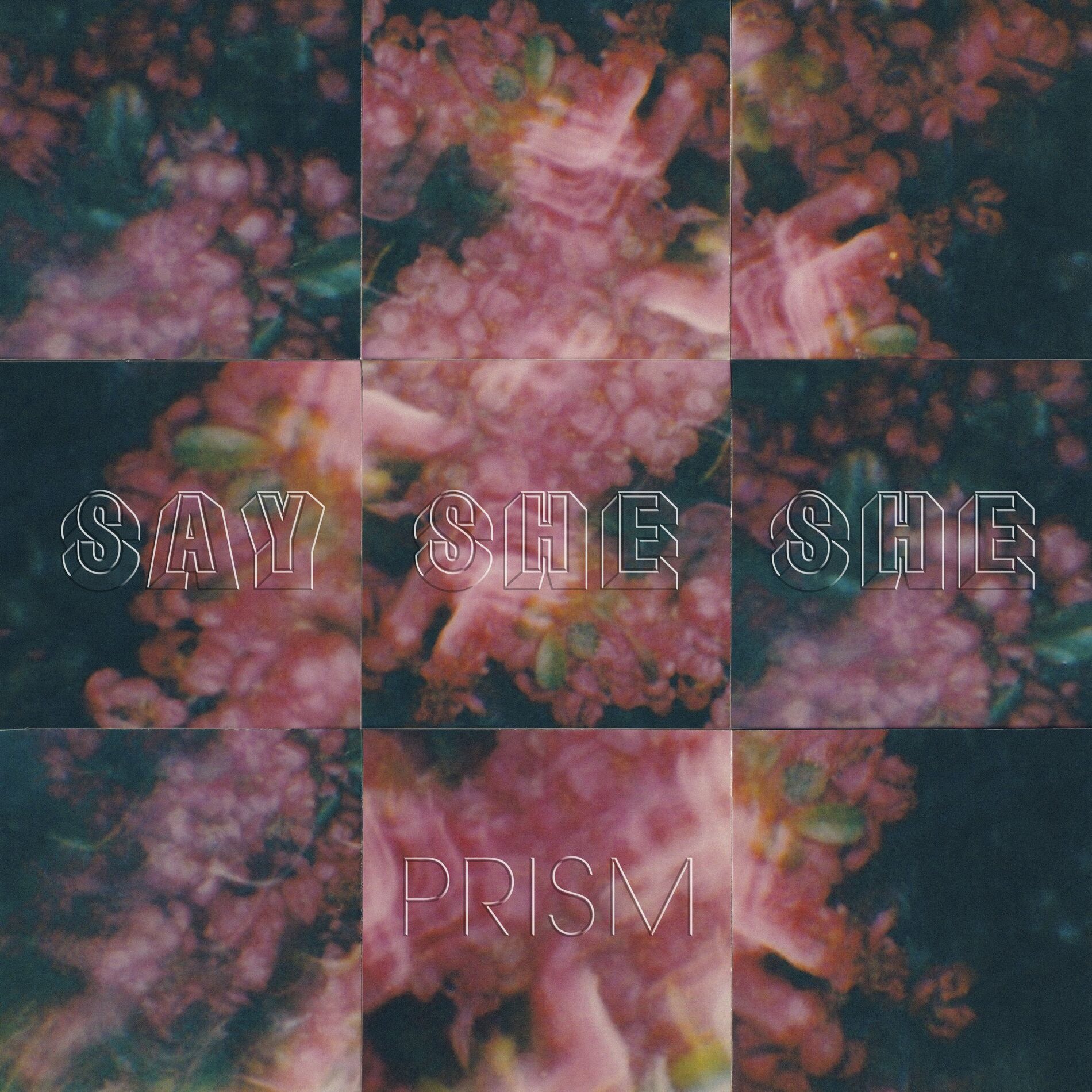 Album cover of Prism