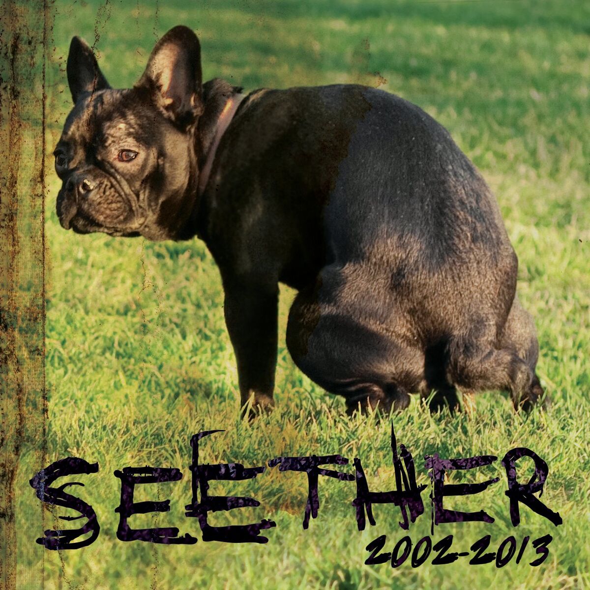 Album cover of Seether: 2002 - 2013 (Deluxe Version)