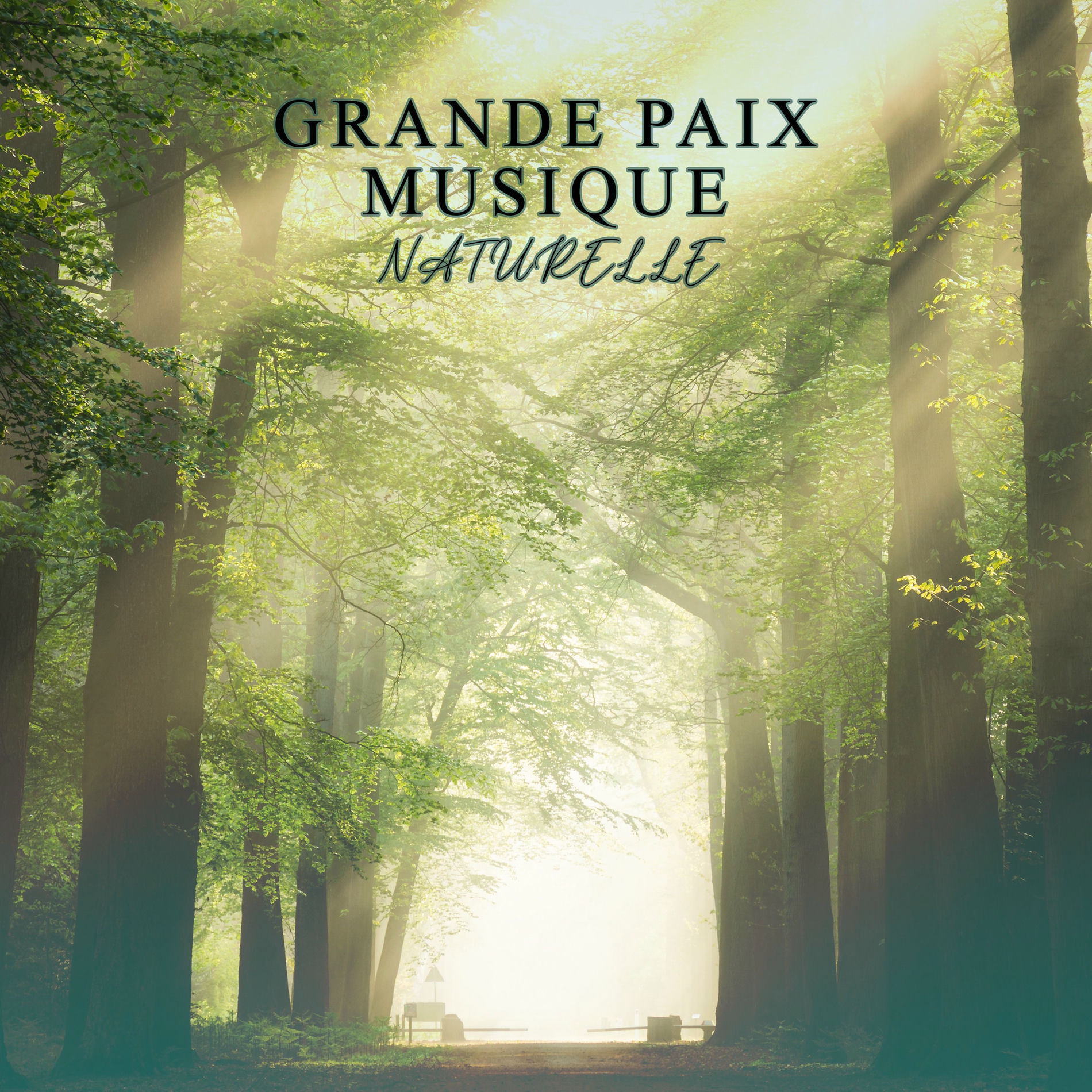 Album cover of Grande paix (Musique pour trouver votre liberté, Silence intérieur, Thérapie naturelle)