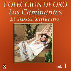 Cover of Colección De Oro: La Trova Yucateca, Vol. 1