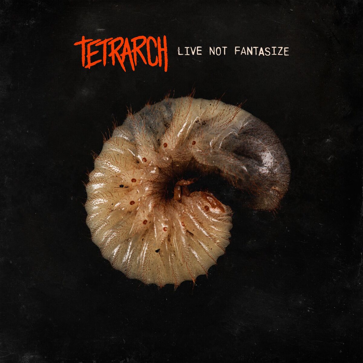 Album cover of Live Not Fantasize