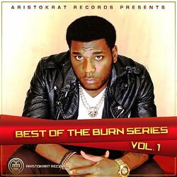 Cover of Best of Burn Series, Vol. 1