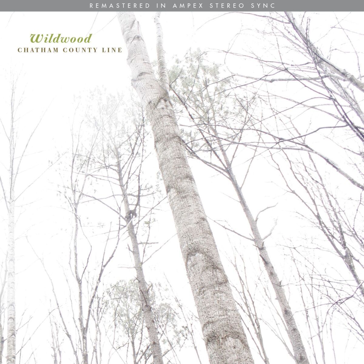 Album cover of Wildwood (Remastered)