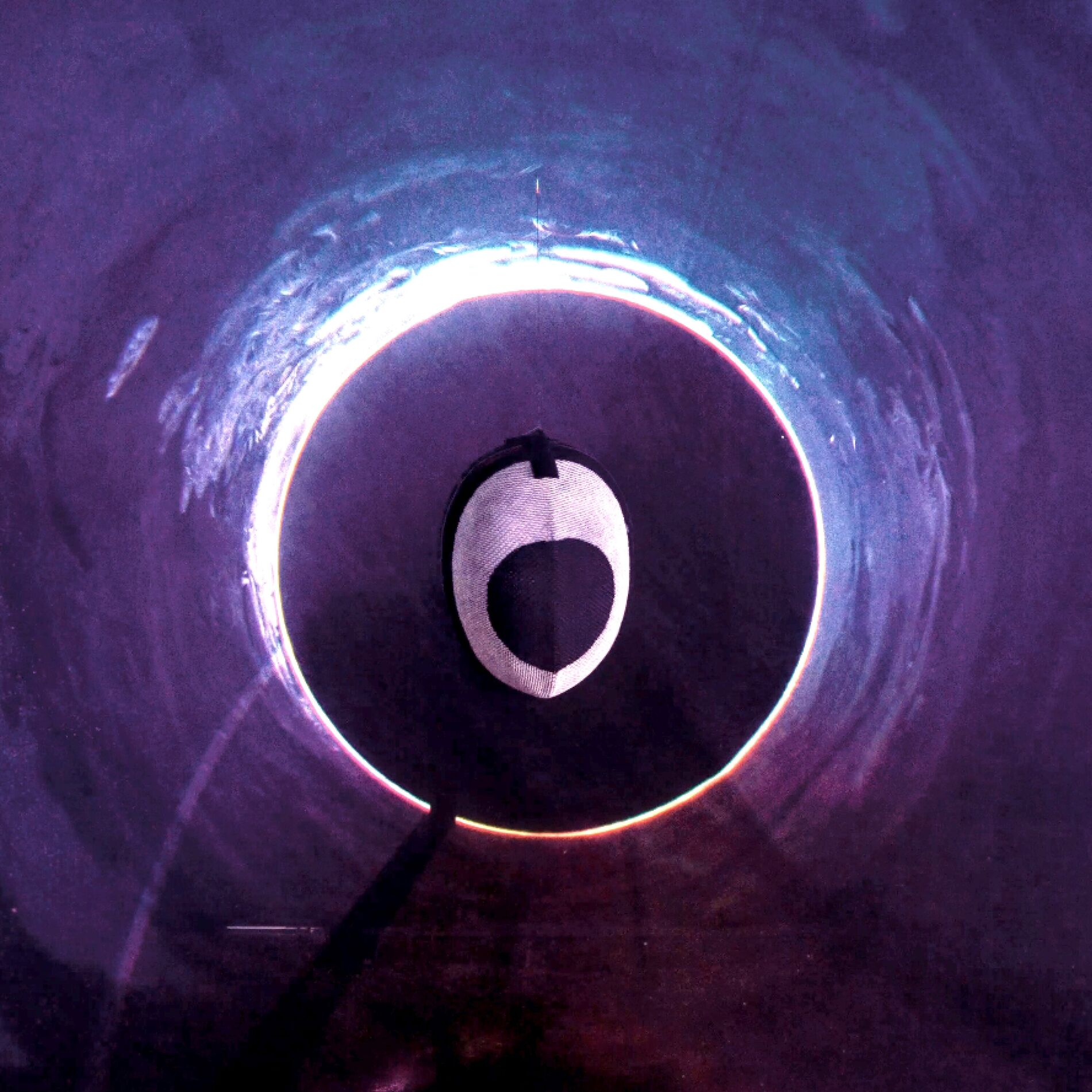 Album cover of Rhizom