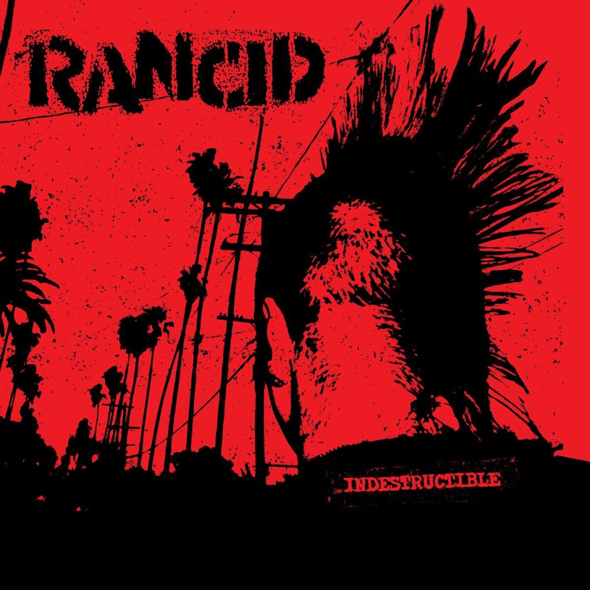 Album cover of Fall Back Down