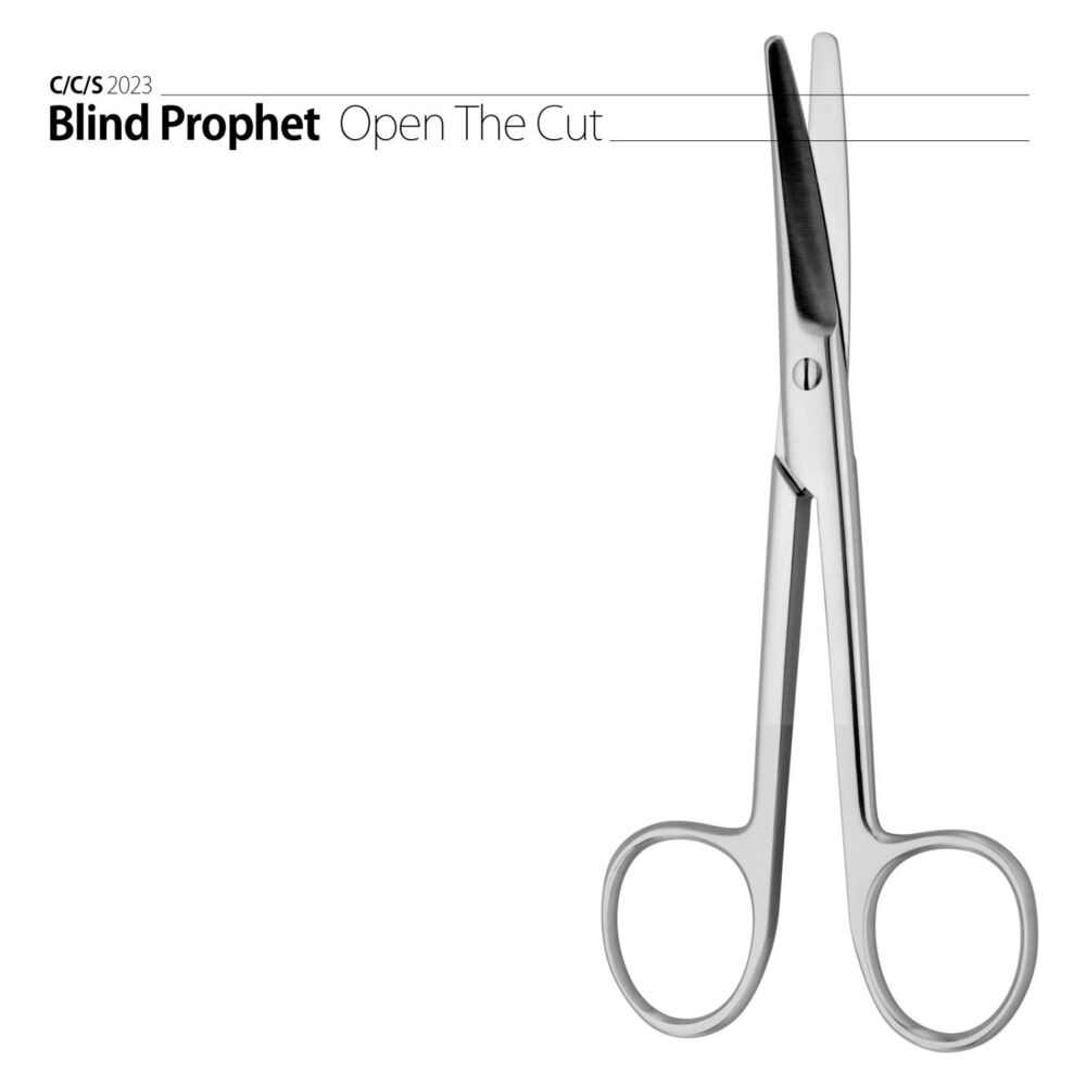 Picture of Blind Prophet