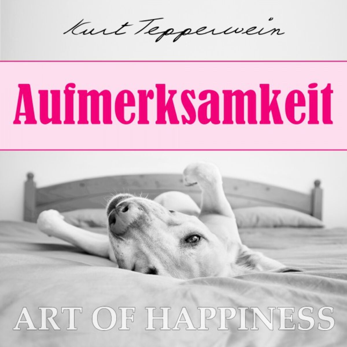 Album cover of Art of Happiness: Aufmerksamkeit