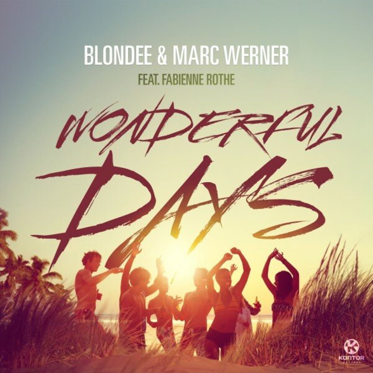 Album cover of Wonderful Days
