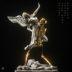 Cover of Insane (Remixes)