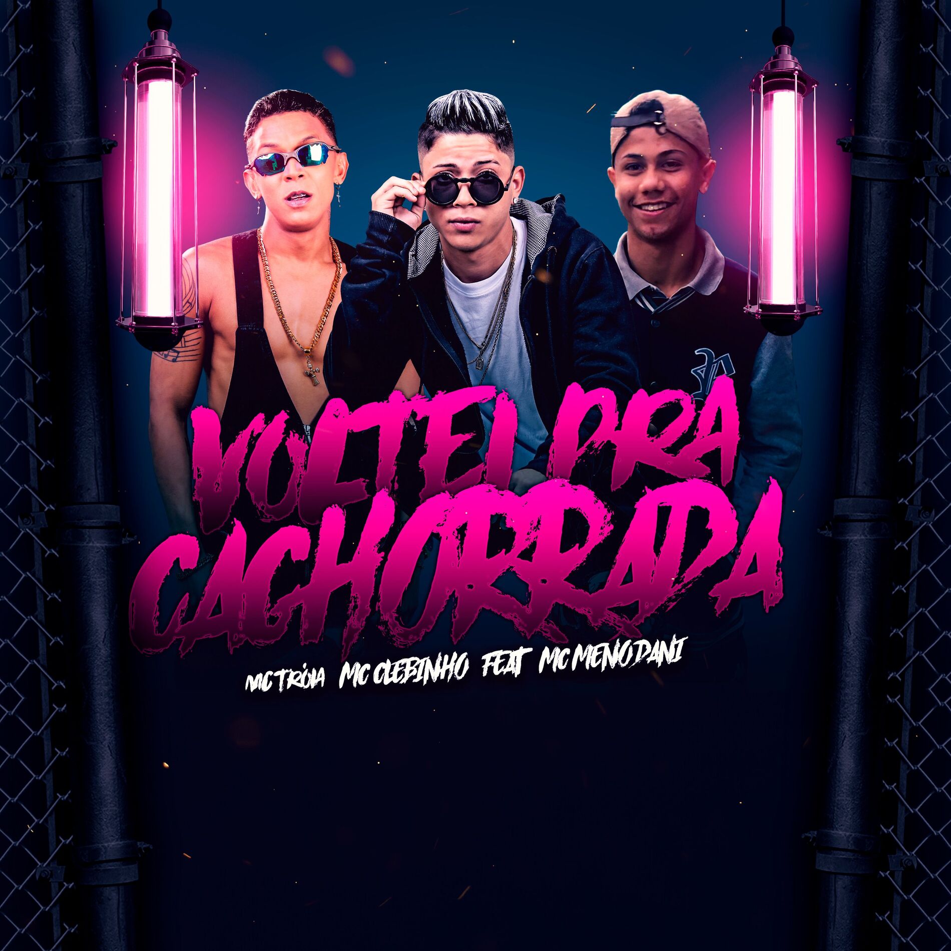 Album cover of Voltei pra Cachorrada