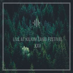 Cover of Live at Kilkim Žaibu Festival XXII