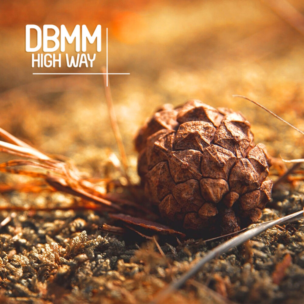 Picture of High Way