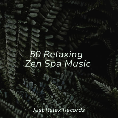 50 Relaxing Zen Spa Music