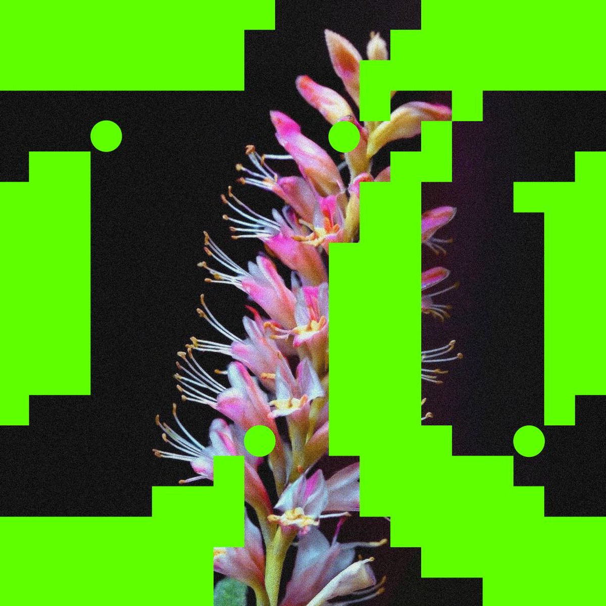 Album cover of Better O'be New