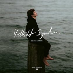 Cover of Vielleicht Irgendwann (Deluxe Edition)