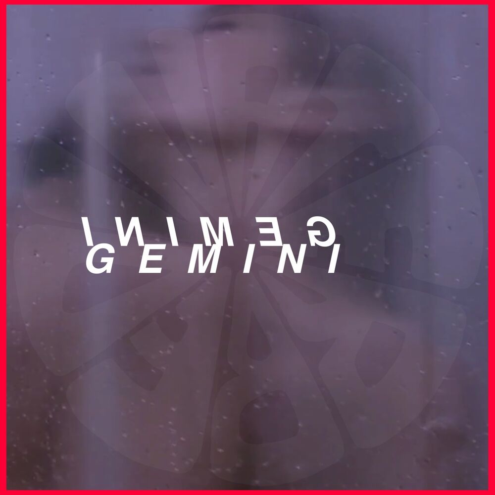 Picture of Gemini