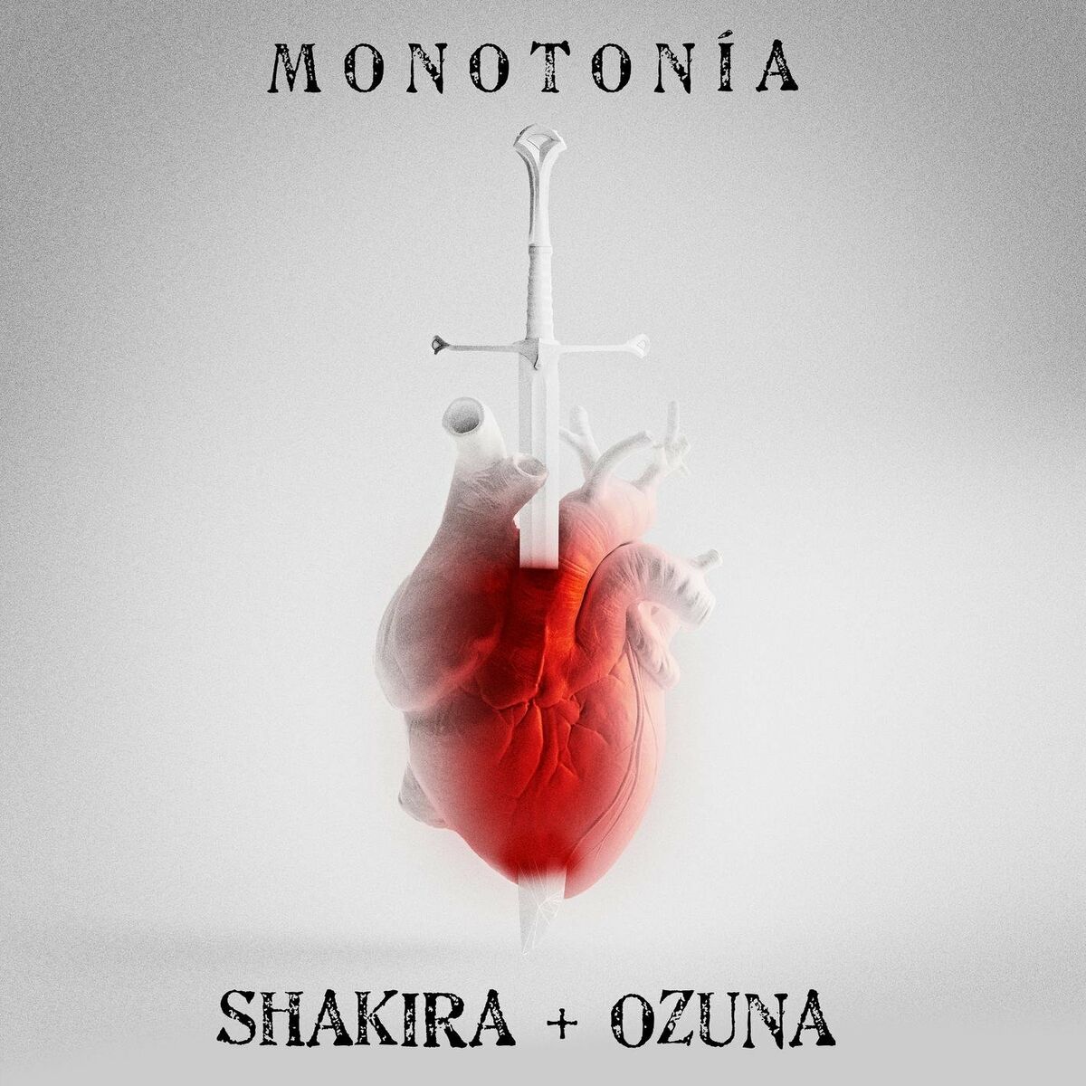 Album picture of Monotonía