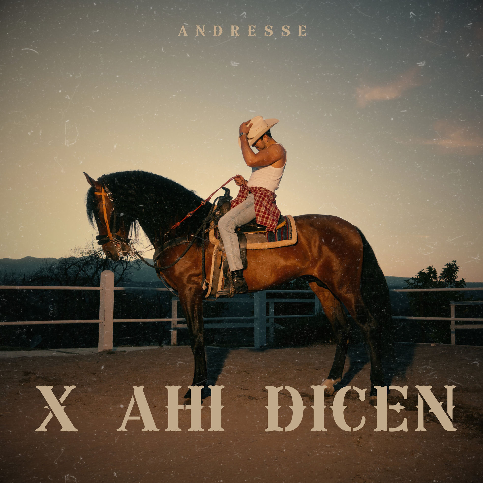 Album cover of X Ahí Dicen
