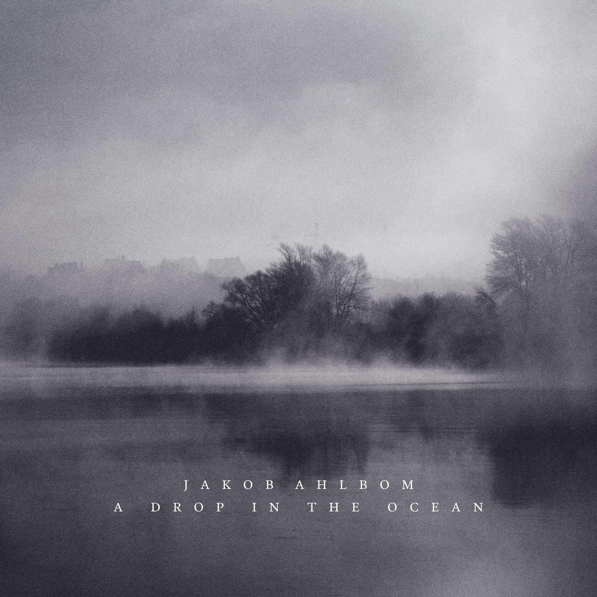 Album cover of A Drop in the Ocean