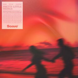 Cover of Pretty Little Things