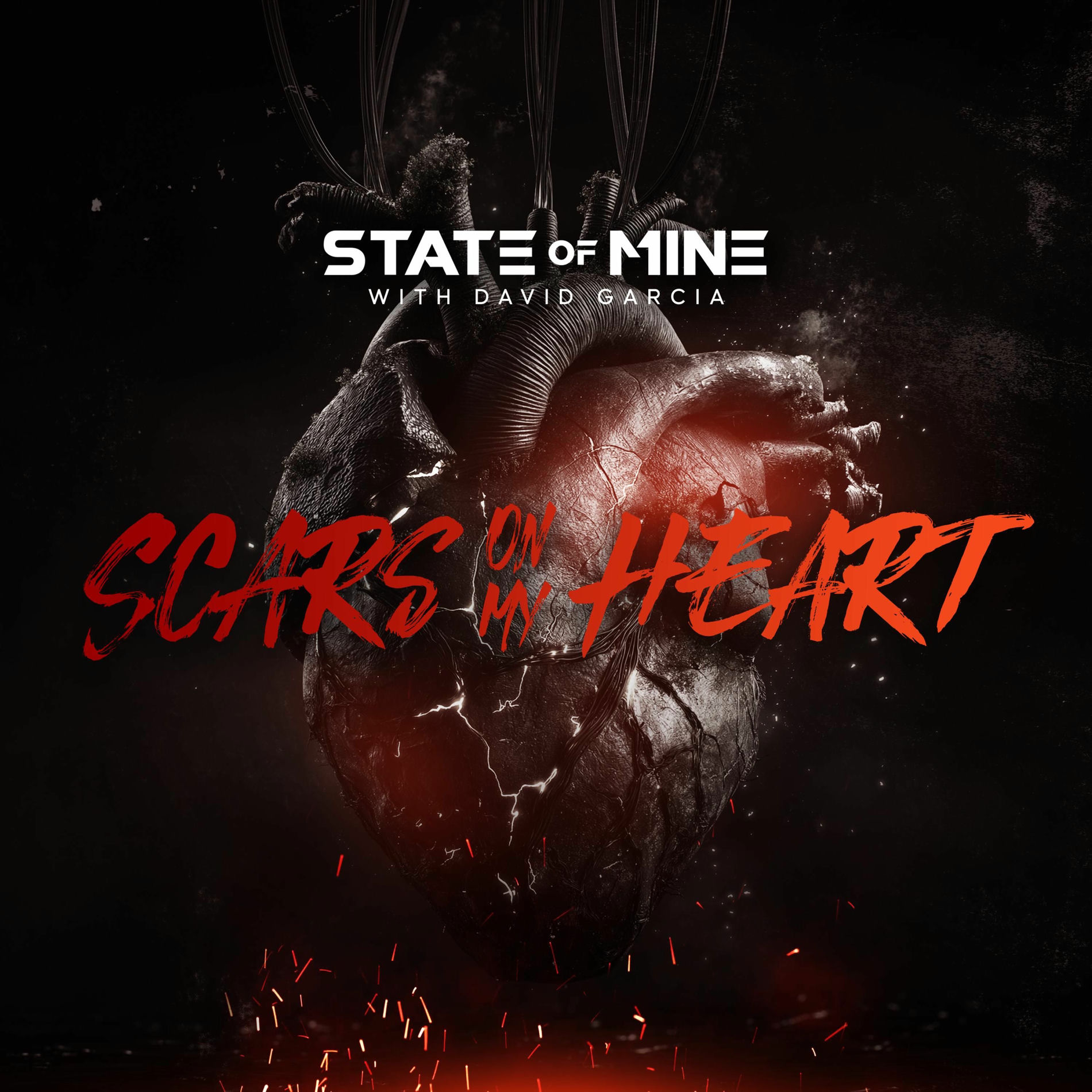 Album cover of Scars on My Heart