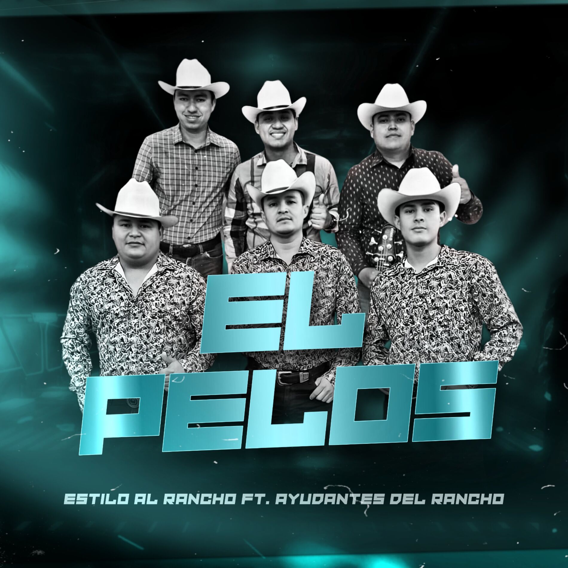 Album cover of El Pelos