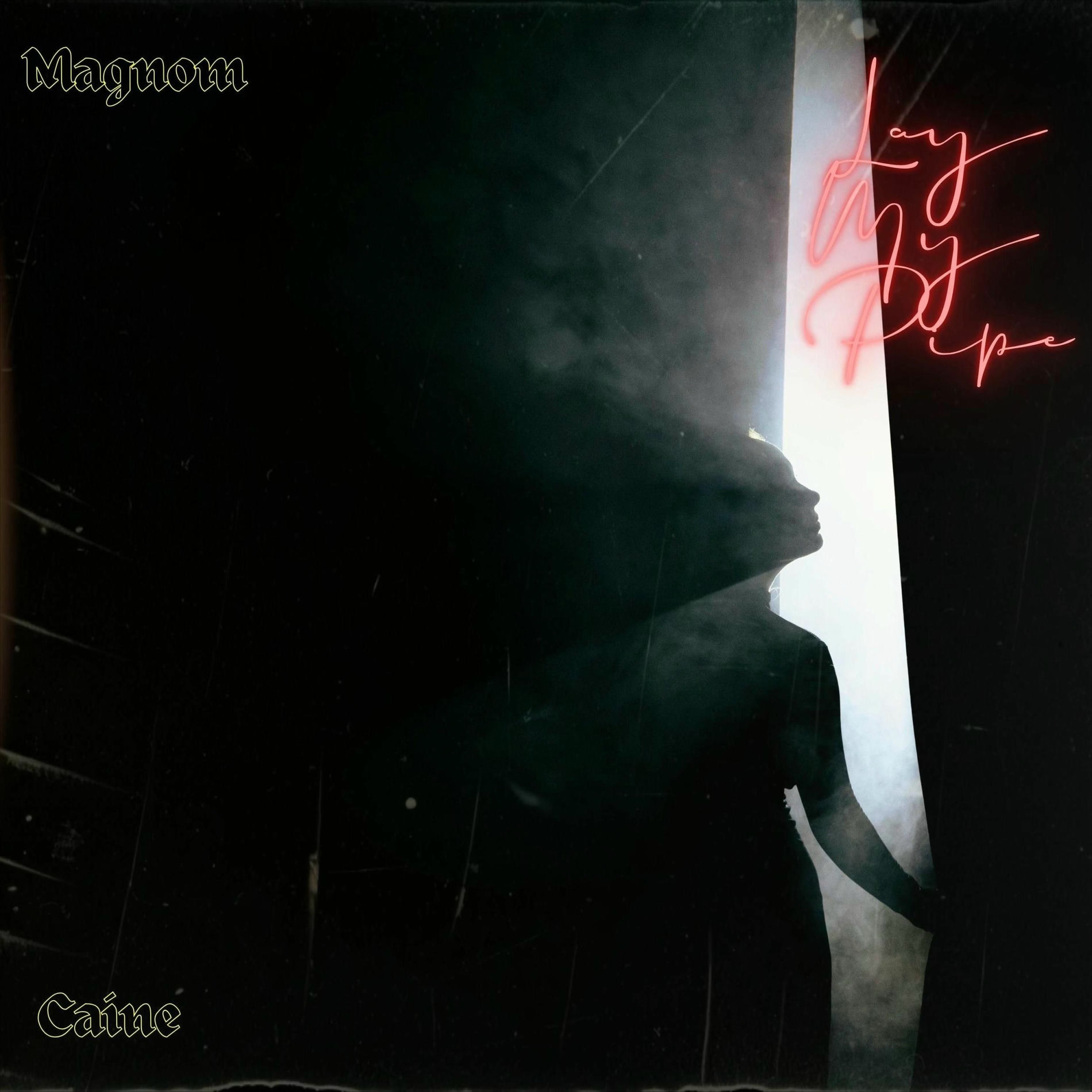 Album cover of Lay My Pipe