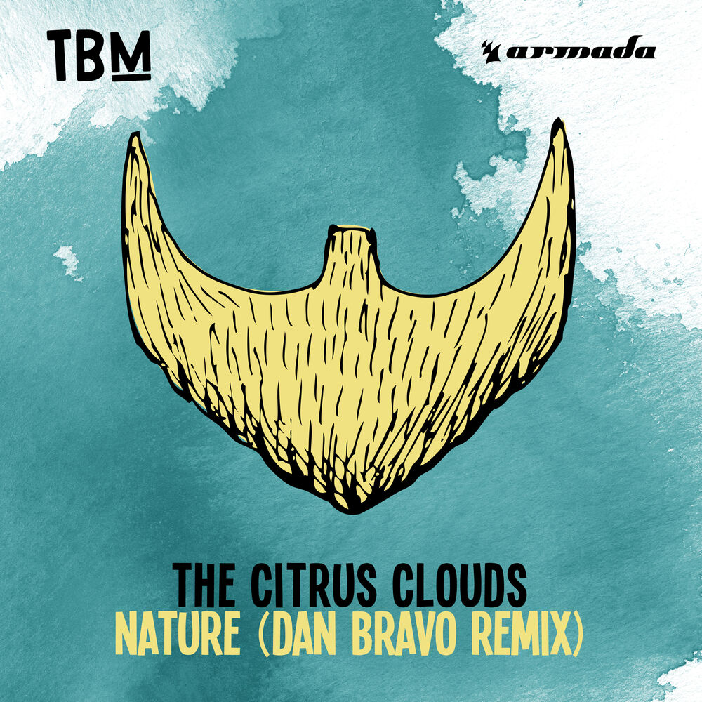 Picture of Nature (Dan Bravo Remix)