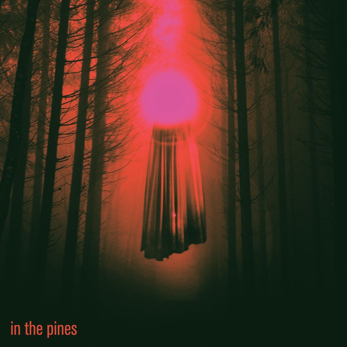 Album cover of In The Pines