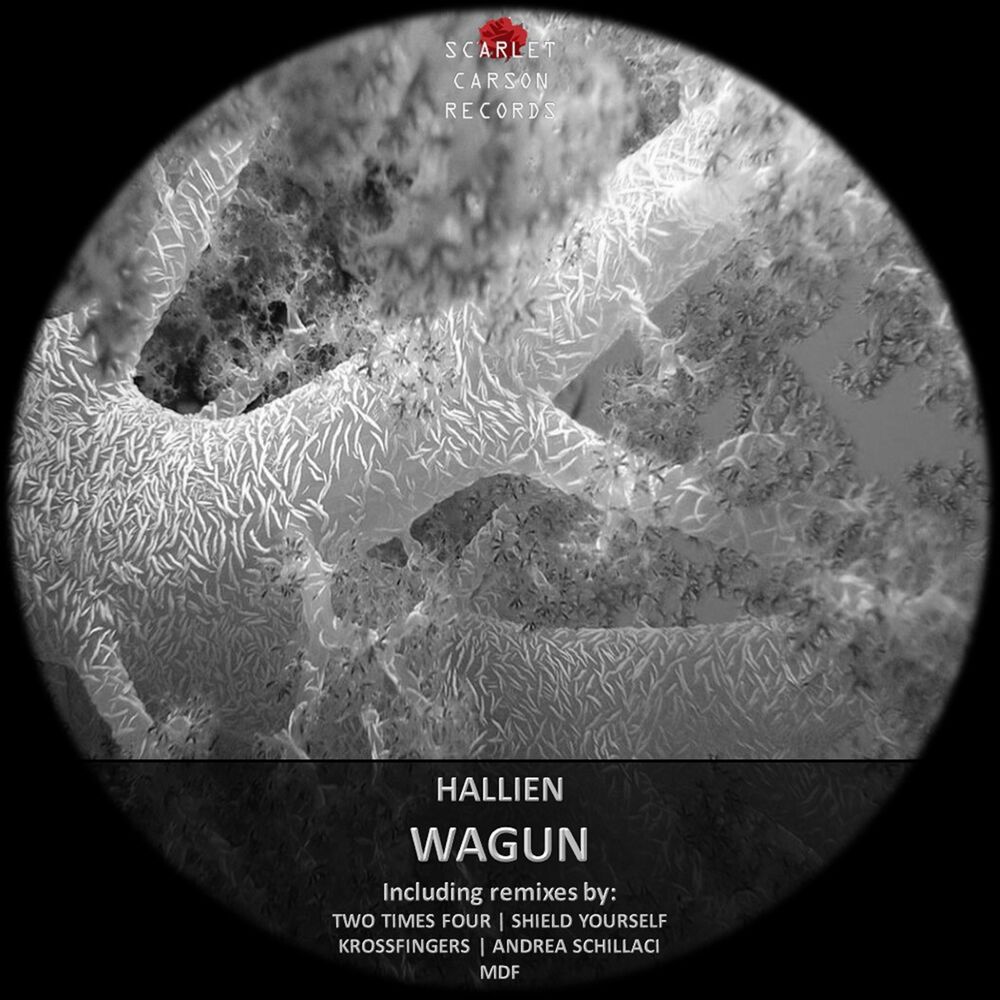 Picture of Wagun