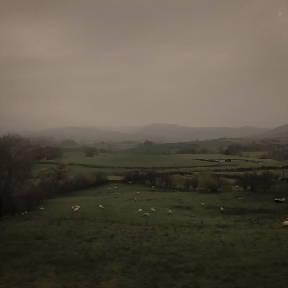 Album cover of The Untuning Of The Sky