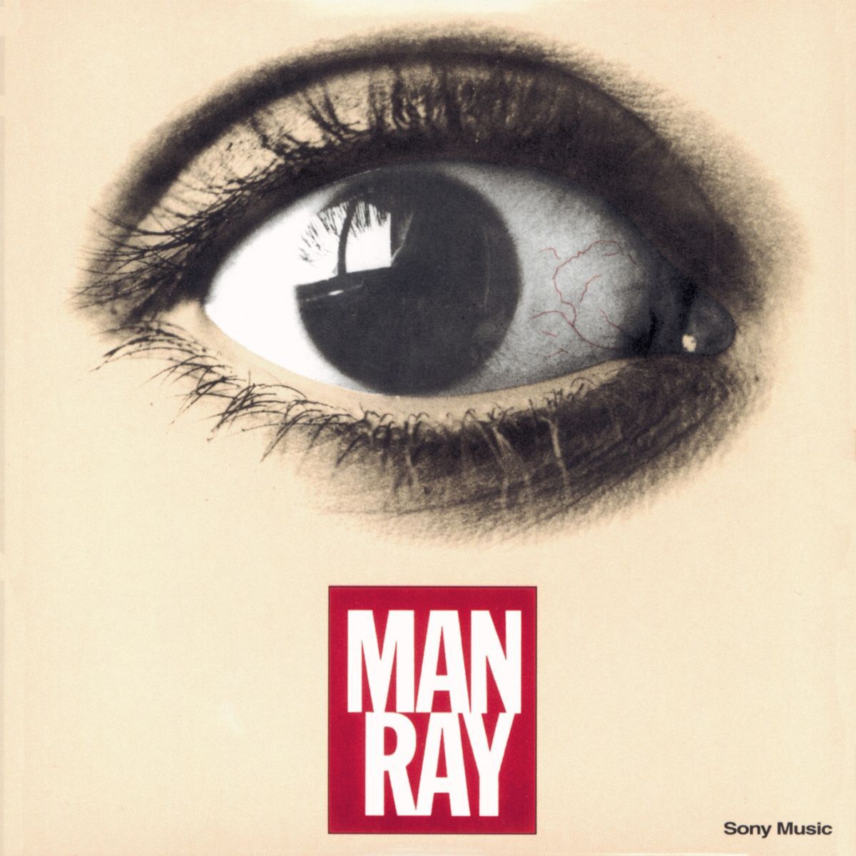 Album cover of Impracticidad