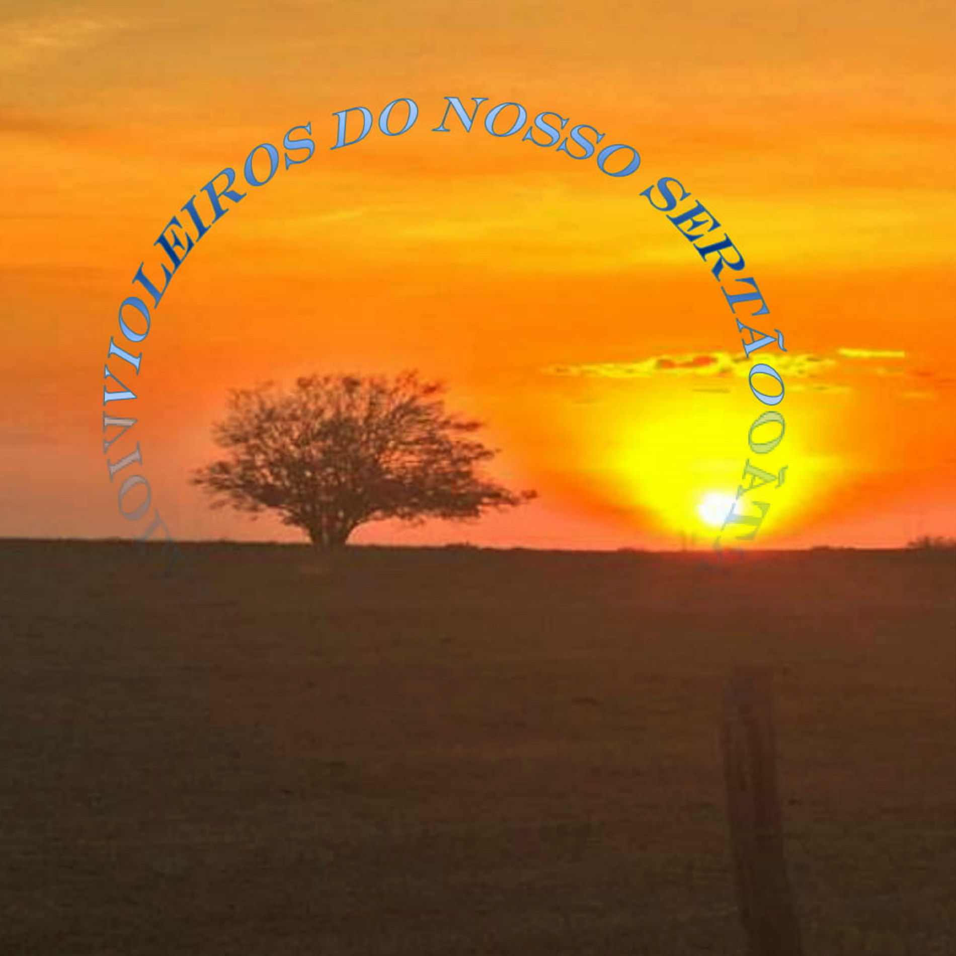 Album cover of O Tropeiro