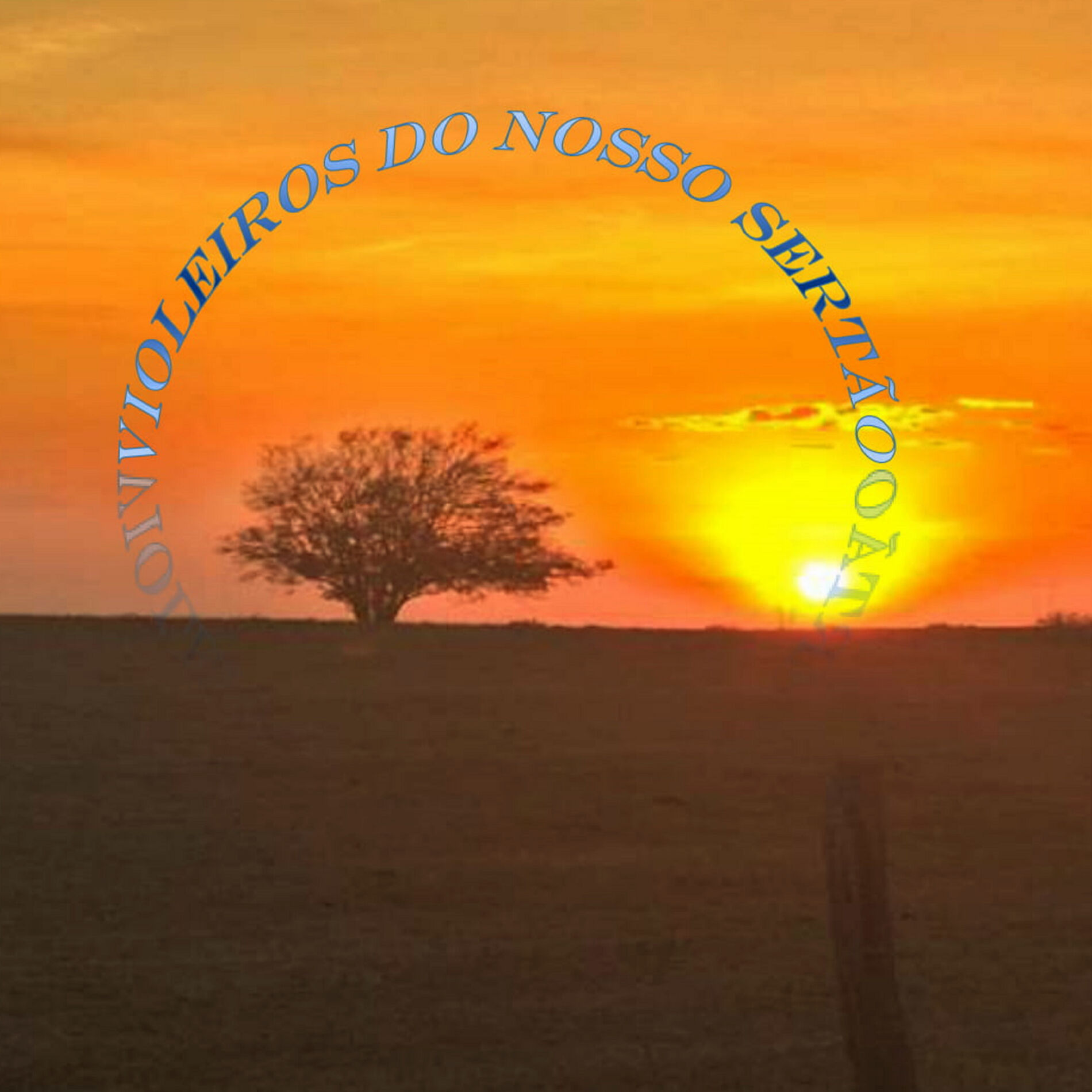 Album cover of Violeiros do Nosso Sertão