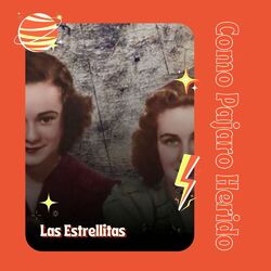 Cover of Como Pajaro Herido