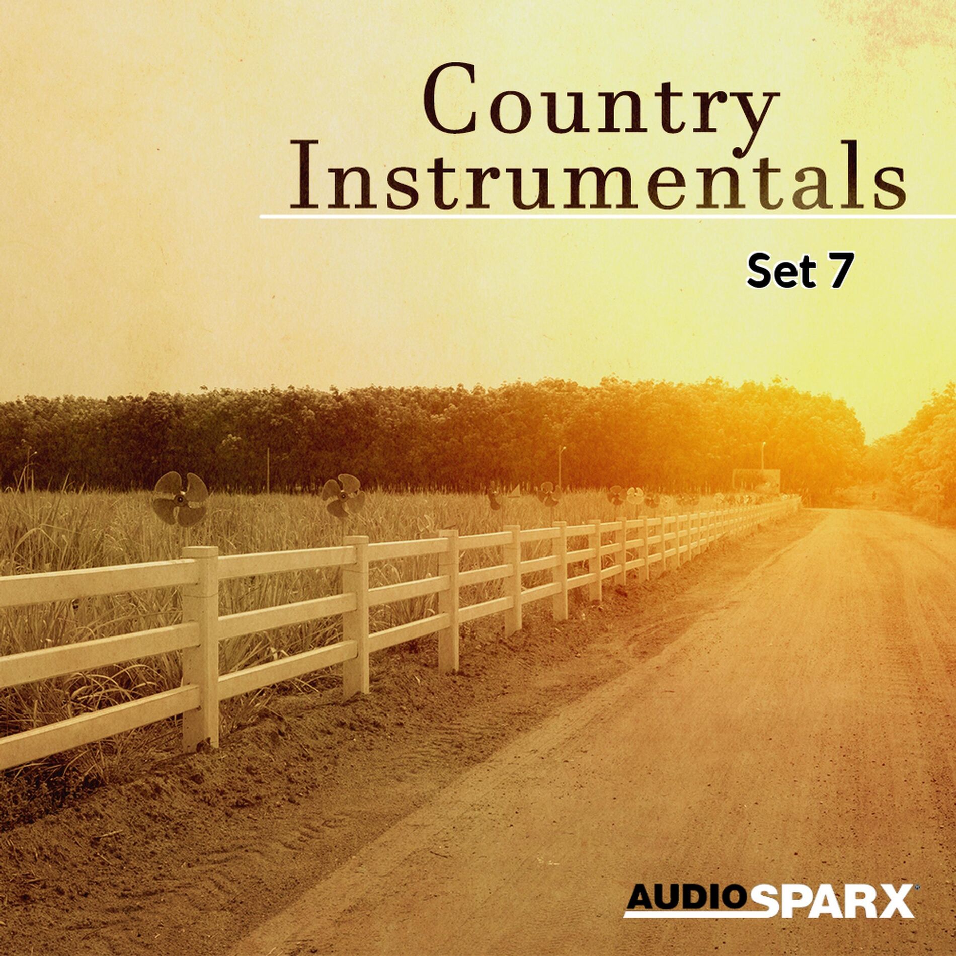 Album cover of Country Instrumentals, Set 7