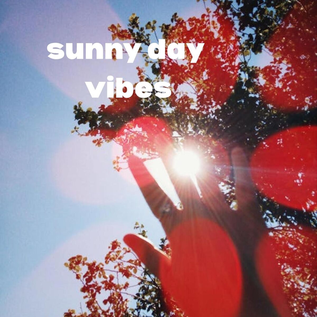 Album cover of sunny day vibes