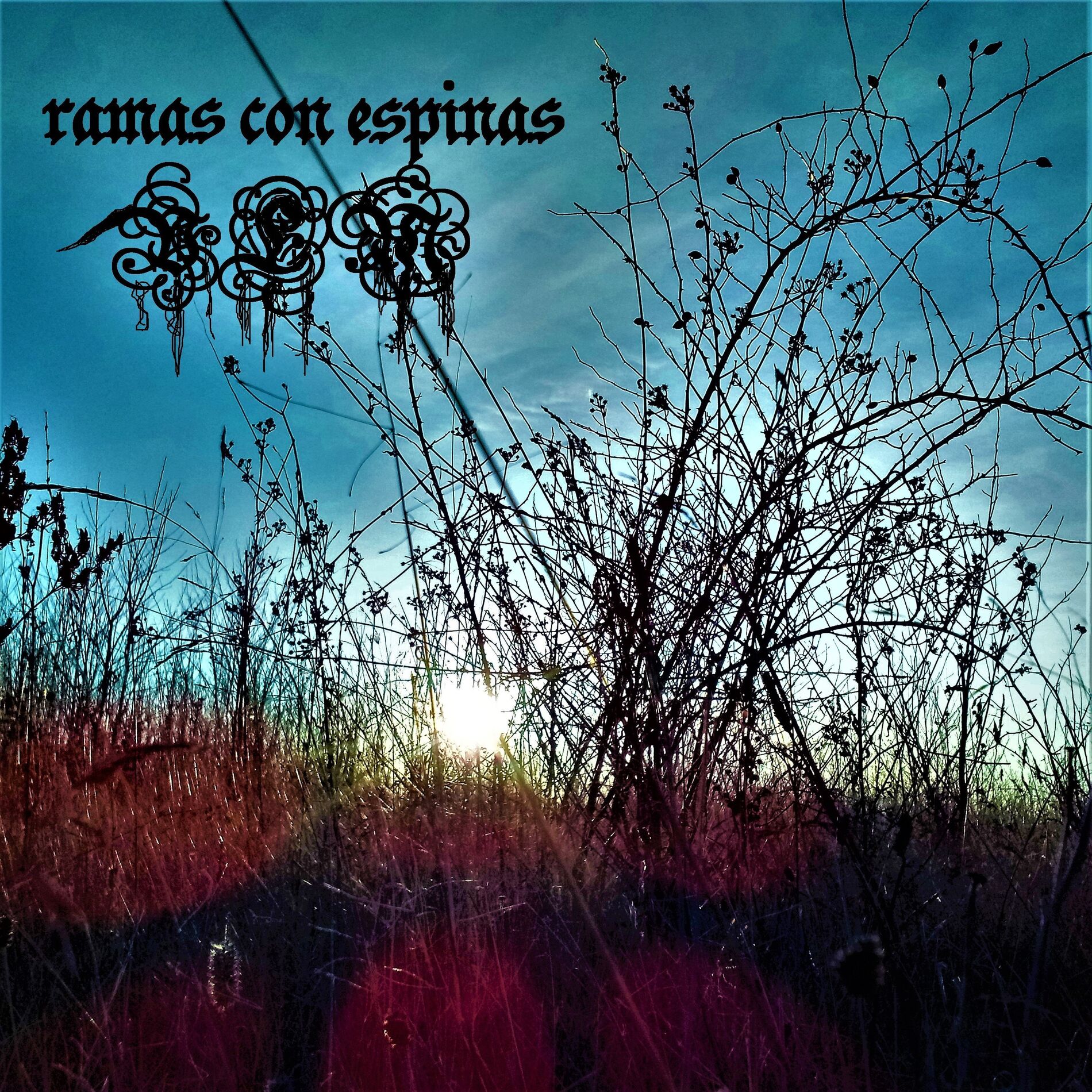 Album cover of Ramas Con Espinas