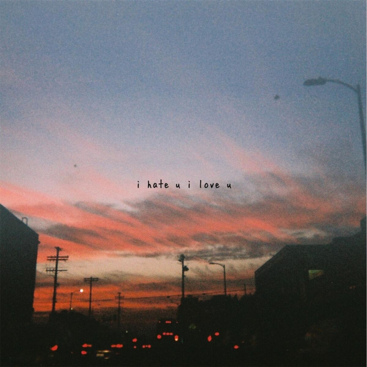 Album cover of I Hate U I Love U