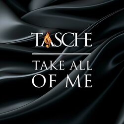 Cover of (Take) All Of Me