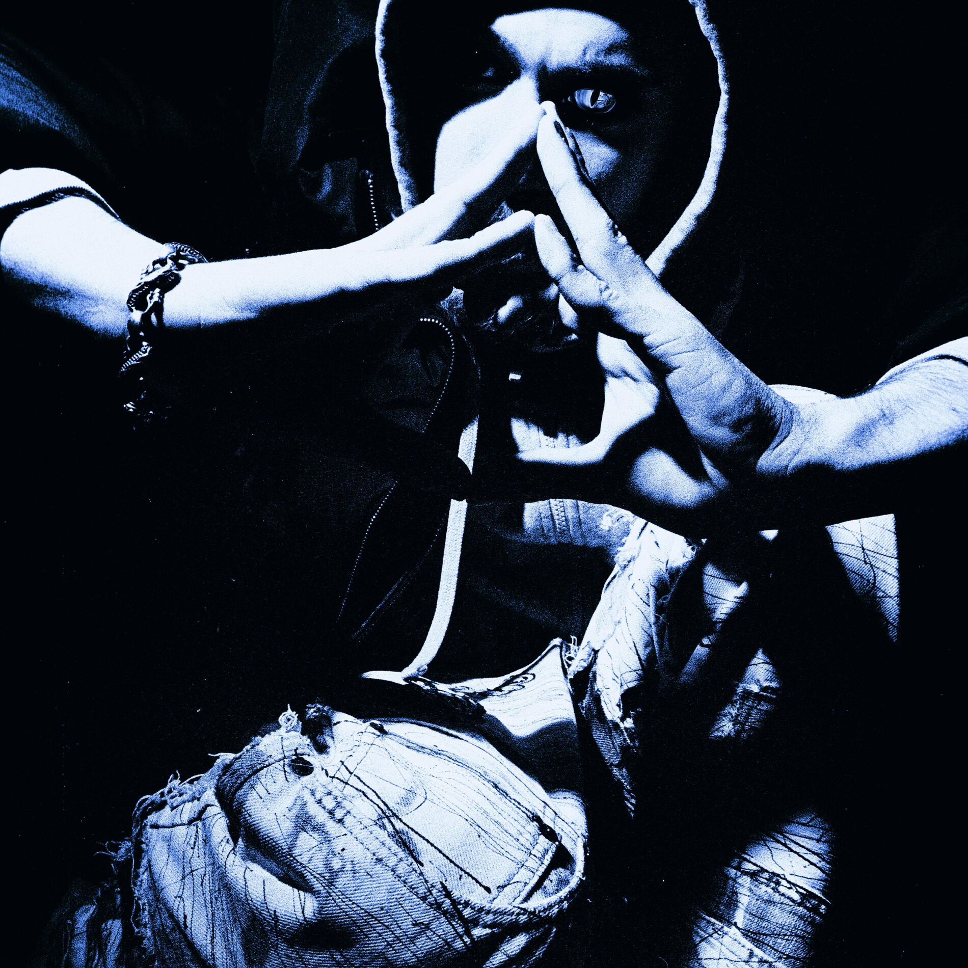 Album cover of L'amour de vivre