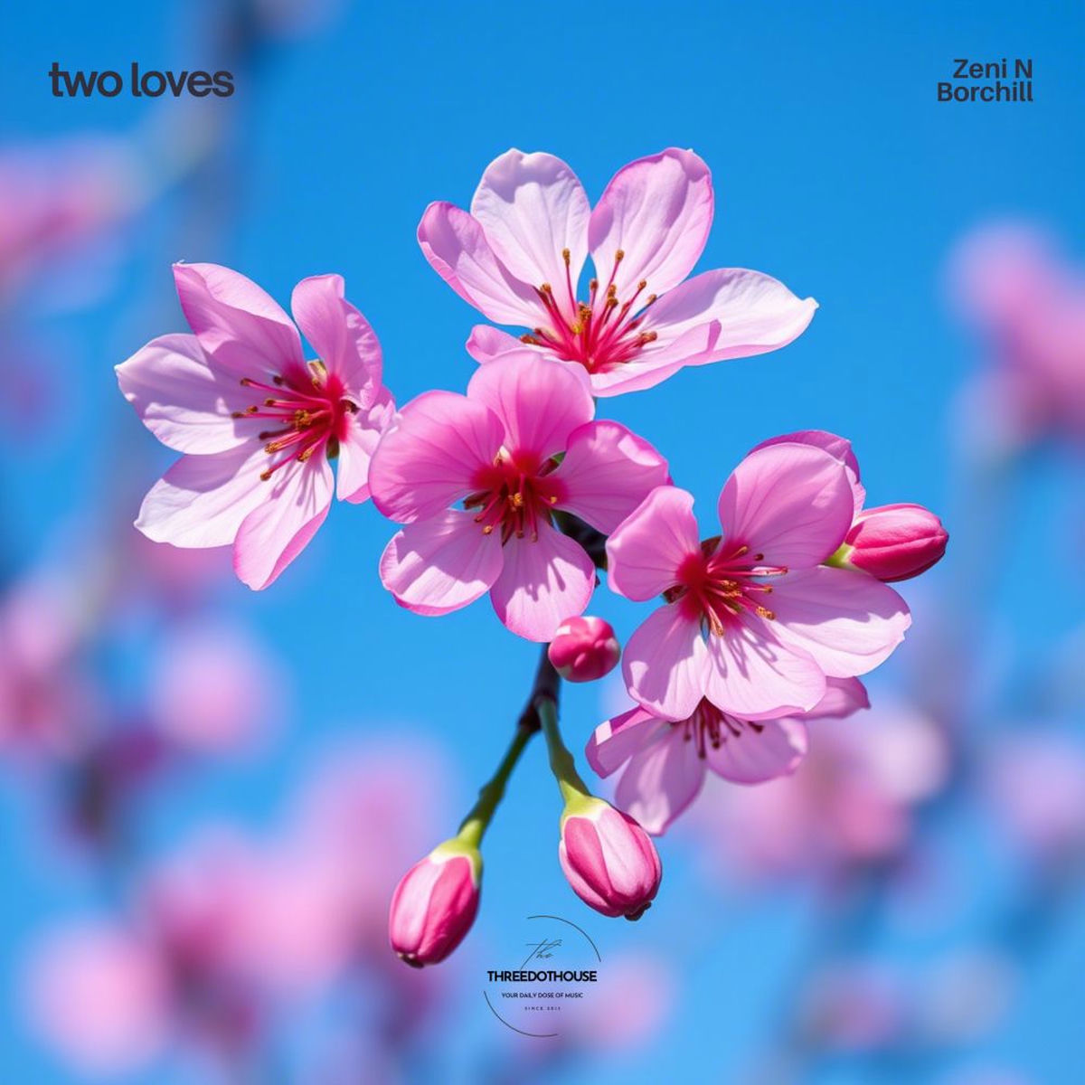 Album cover of Two Loves