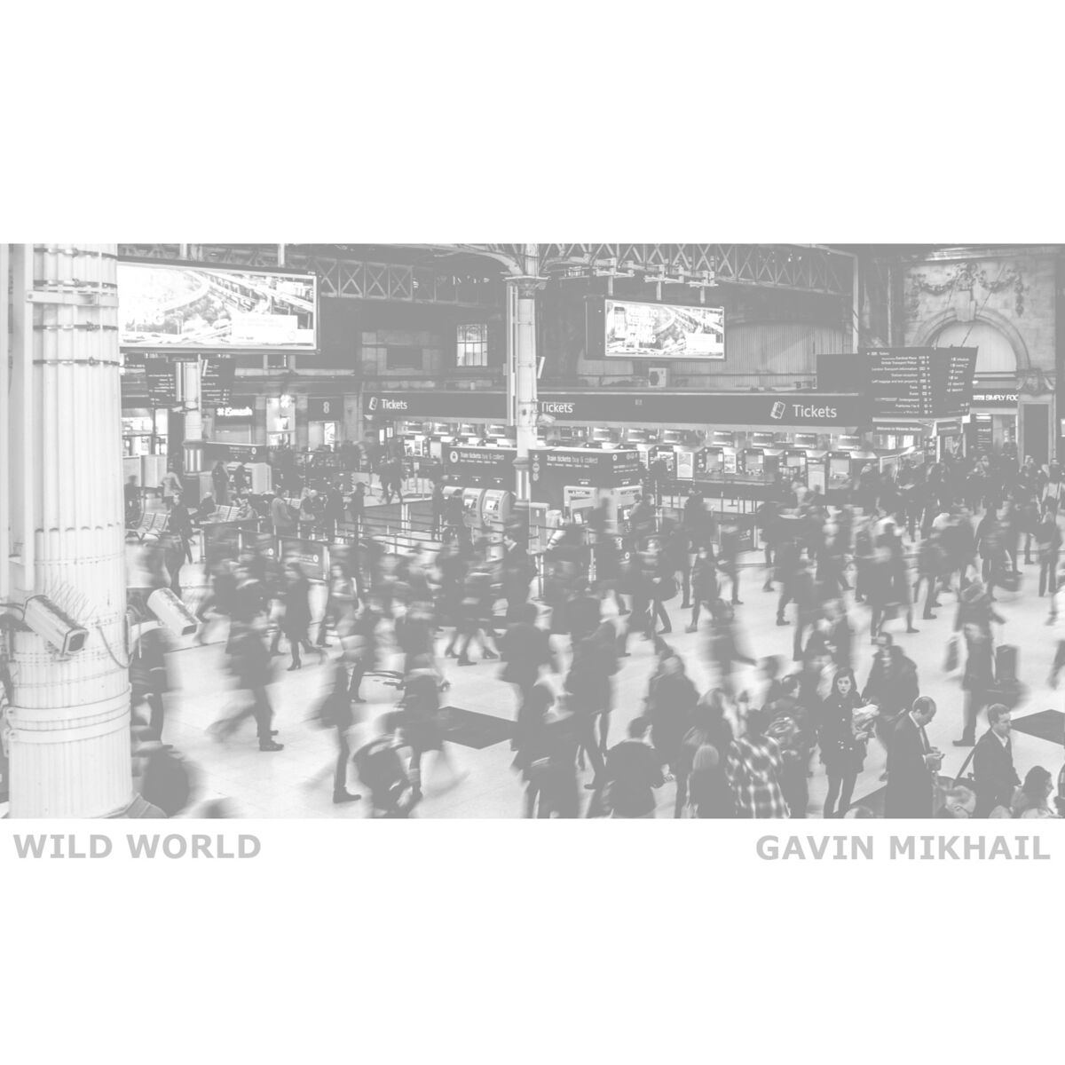Album cover of Wild World (Acoustic)