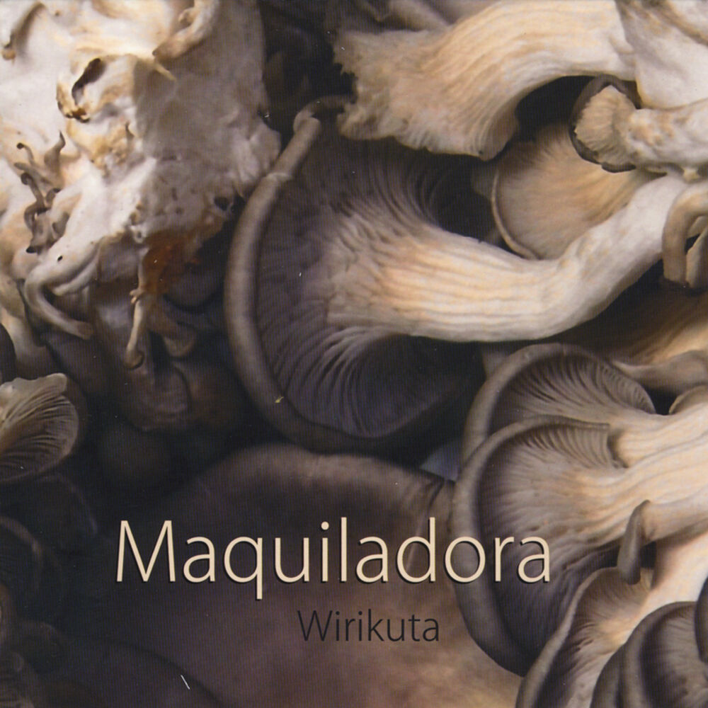 Picture of Wirikuta