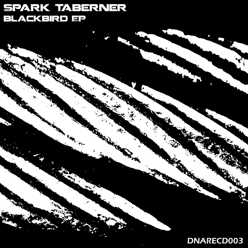 Picture of Blackbird EP
