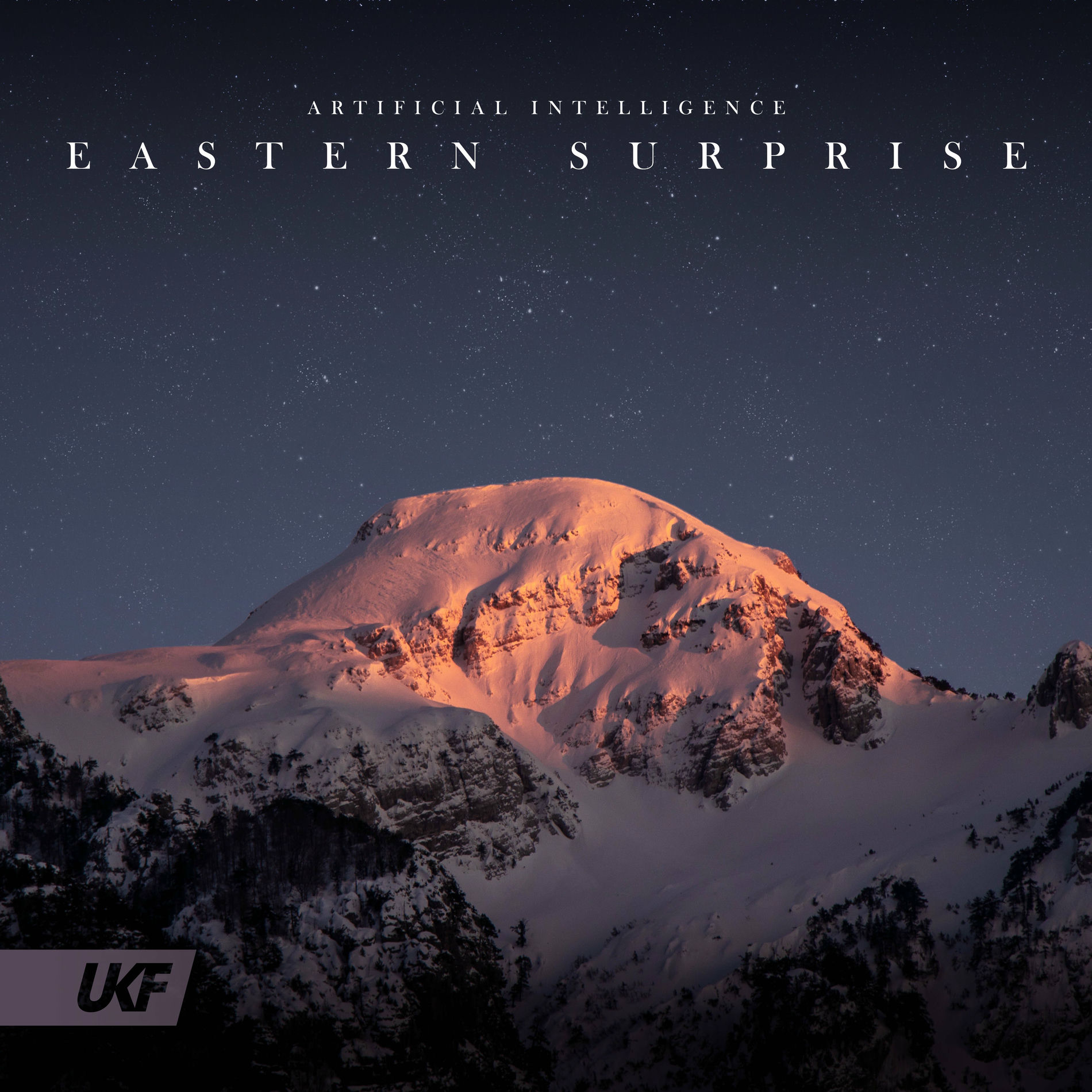 Album cover of Eastern Surprise