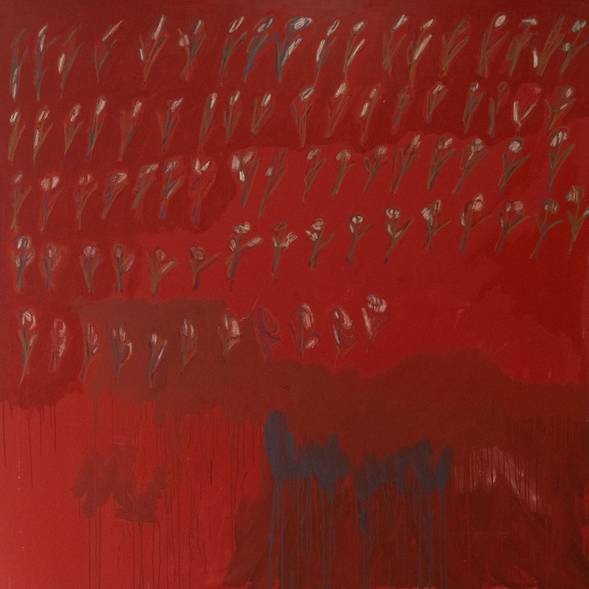 Album cover of rosa rugosa