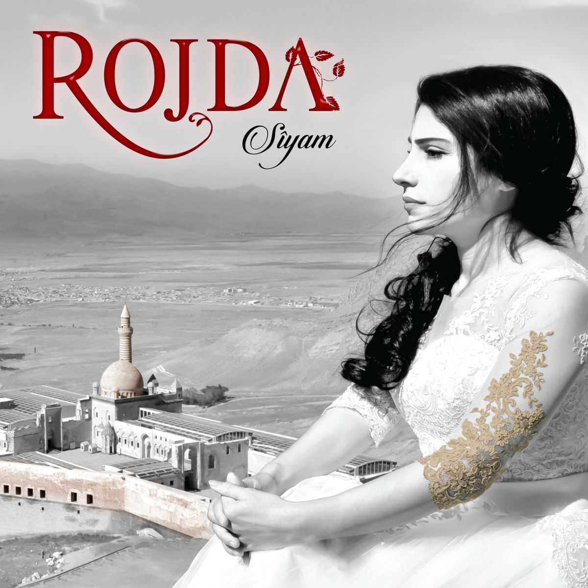 Album cover of Dîsa Dîlan