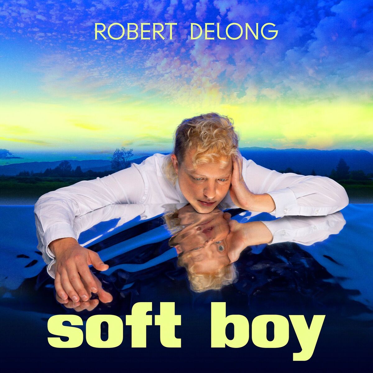 Album cover of soft boy